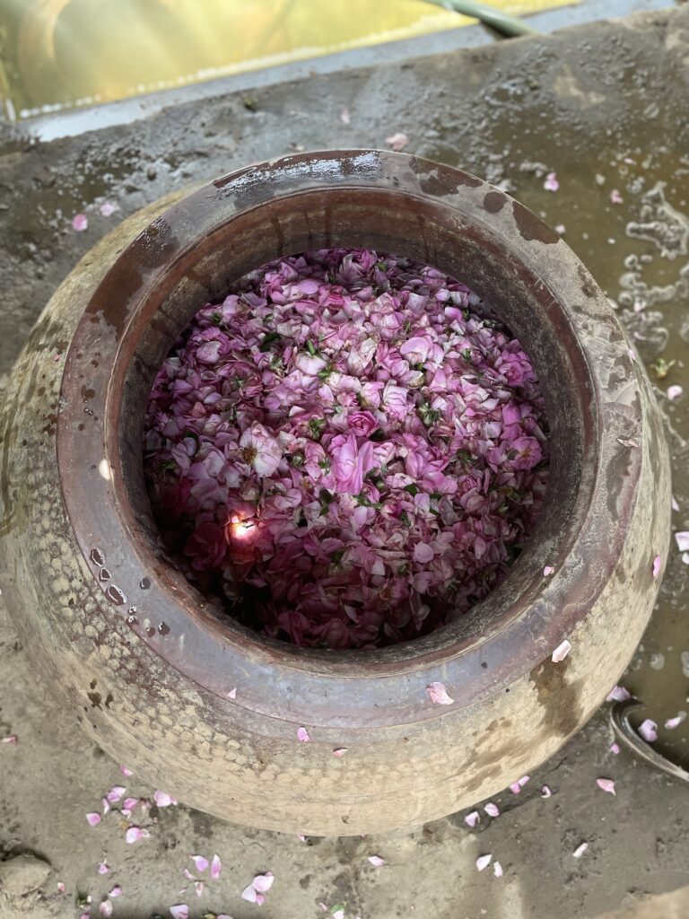 Roses-in-Copper-Deg-before-distillation
